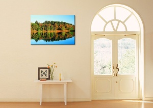 Tablou Canvas Natura Lac Padure - Img 1
