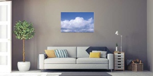 Tablou Canvas Nori Albi pe Cer