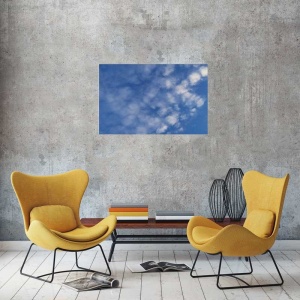 Tablou Canvas Nori Albi pe Cer - Img 1