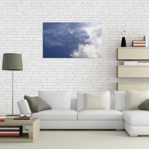 Tablou Canvas Nori Albi pe Cer - Img 1