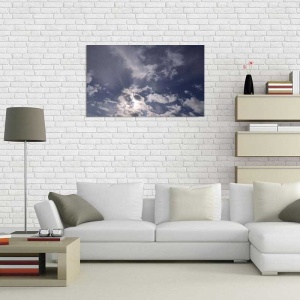 Tablou Canvas Nori Albi pe Cer - Img 1