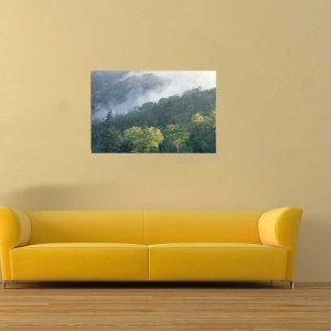 Tablou Canvas Padure - Img 1