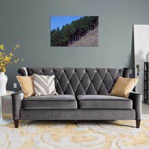 Tablou Canvas Padure - Img 1