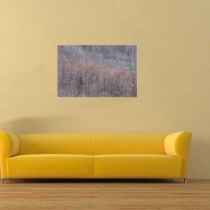 Tablou Canvas Padure - Img 1