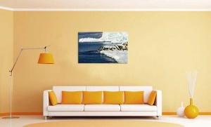 Tablou Canvas Pinguini - Img 1