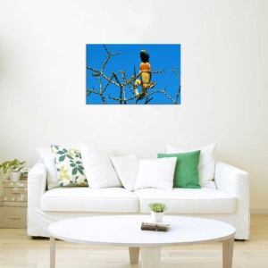 Tablou Canvas Soparla - Img 1