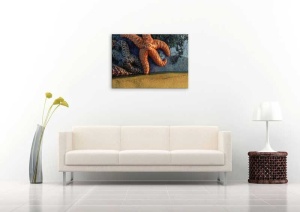 Tablou Canvas Stea de Mare - Img 1