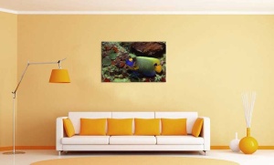 Tablou Canvas Subacvatic - Img 1