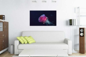 Tablou Canvas Subacvatic - Img 1