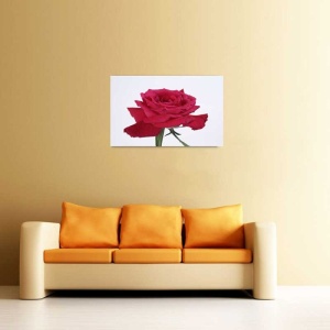 Tablou Canvas Trandafir rosu - Img 1