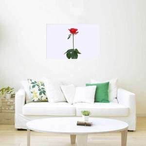 Tablou Canvas Trandafir rosu