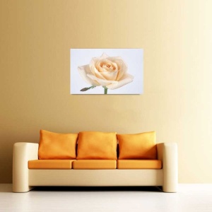 Tablou Canvas Trandafir rosu - Img 1