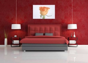 Tablou Canvas Trandafir - Img 1