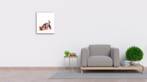 Tablou Canvas animale caine jucaus - Img 3