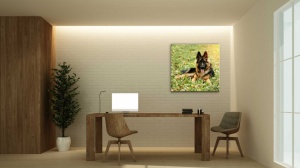 Tablou Canvas animale caine lup la panda - Img 2