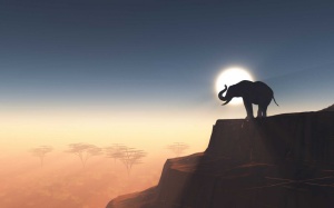 Tablou Canvas animale elefant pe fundalul soarelui - Img 2