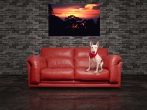 Tablou Canvas Apus de soare - Img 1