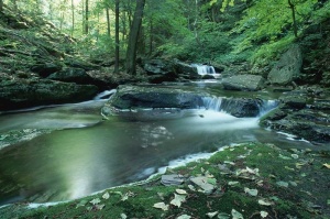 Tablou Canvas Cascada - Img 2
