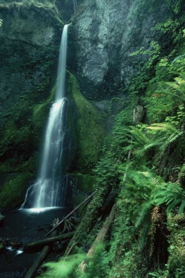 Tablou Canvas Cascada - Img 2