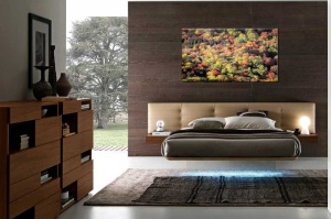 Tablou Canvas Copaci Colorati - Img 1