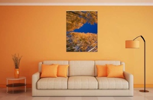 Tablou Canvas Copaci cu frunze galbene - Img 1