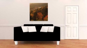 Tablou Canvas Copaci toamna - Img 1