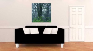 Tablou Canvas Copaci - Img 1