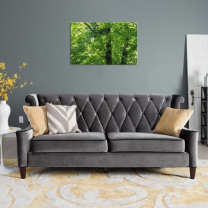 Tablou Canvas Copaci