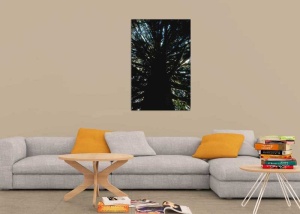 Tablou Canvas Copaci - Img 1
