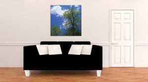 Tablou Canvas Copac - Img 1