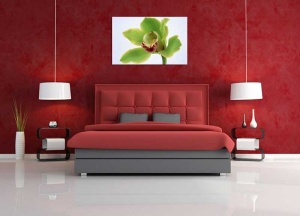 Tablou Canvas Floare - Img 1