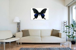 Tablou Canvas Fluturas