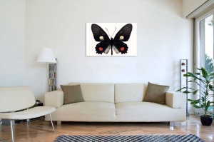 Tablou Canvas Fluturas