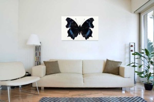 Tablou Canvas Fluturas - Img 1