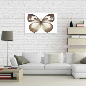 Tablou Canvas Fluturas - Img 1