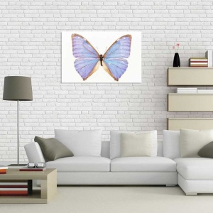 Tablou Canvas Fluturas - Img 1