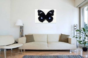 Tablou Canvas Fluturas - Img 1