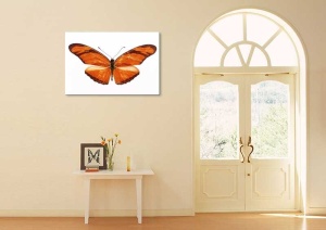 Tablou Canvas Fluturas - Img 1