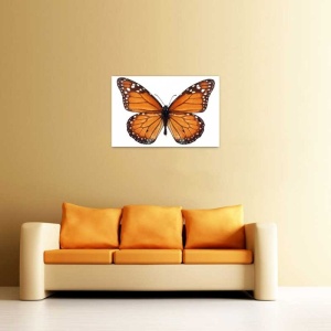 Tablou Canvas Fluturas - Img 1