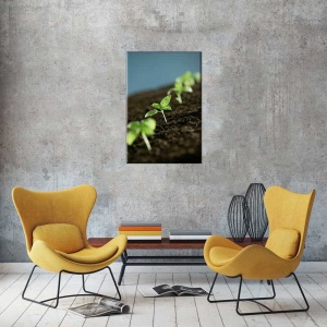 Tablou Canvas Frunze - Img 1