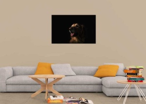 Tablou Canvas Golden Retriever - Img 1