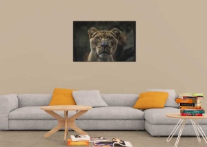 Tablou Canvas Leoaica - Img 1