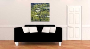 Tablou Canvas Padure - Img 1