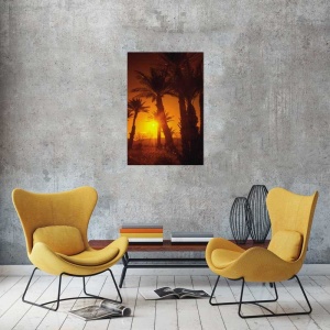 Tablou Canvas Palmier - Img 1