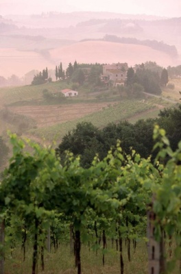 Tablou Canvas Panorama - Img 2