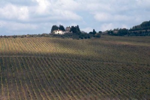 Tablou Canvas Panorama - Img 2