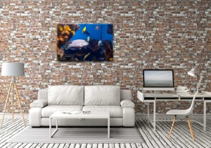 Tablou Canvas ri underwater - pesti - Img 2