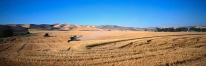 Tablou Multicanvas Agricultura - Img 2