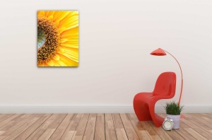 Smile - Tablou Canvas natura - Img 1