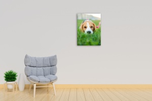 Tablou Canvas animale caine cuminte - Img 3